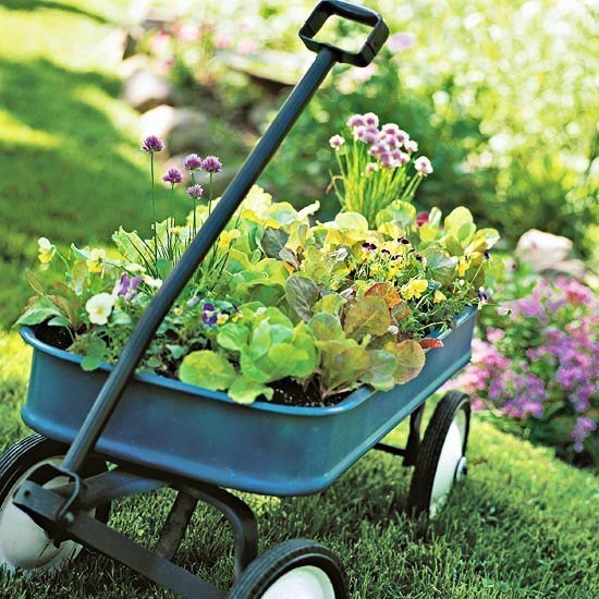 Wagon Garden