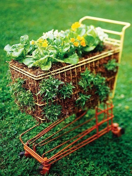 Old Cart Garden Old Cart Garden