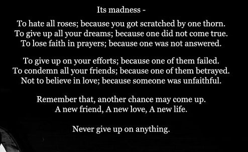 It's madness It's madness