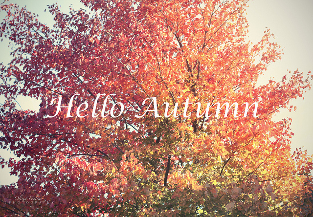 Hello autumn