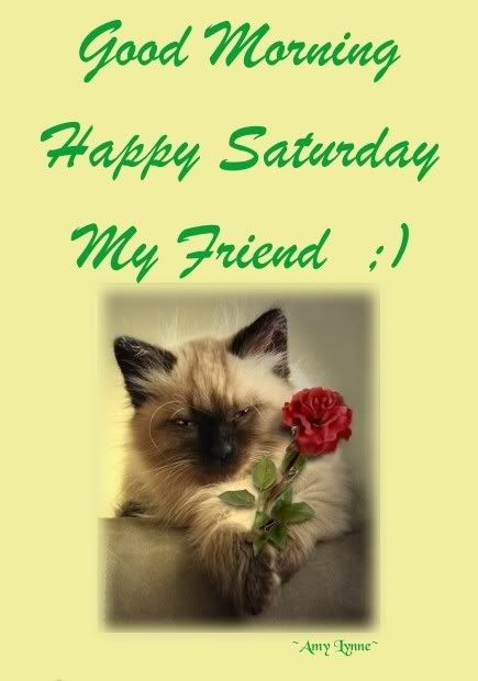 Good Morning Happy Saturday