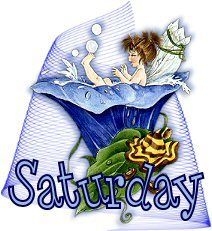 Saturday Fairy Saturday Fairy