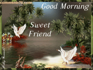 Good Morning Sweet Friend Good Morning Sweet Friend