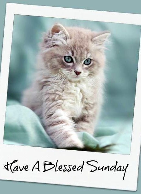 Have a blessed Sunday