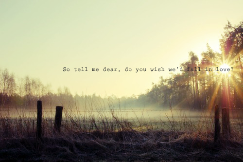 Do you wish wed fall in love Do you wish wed fall in love