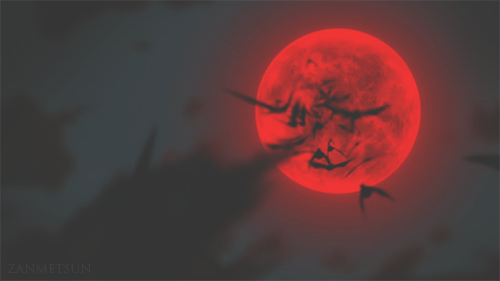 Bats and the red moon