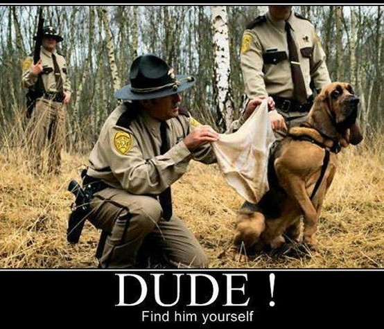 Dude! Find him yourself! Dude! Find him yourself!