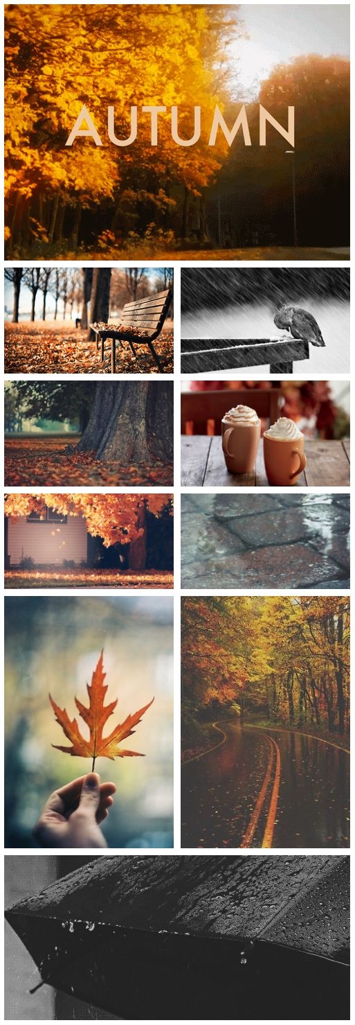 Autumn
