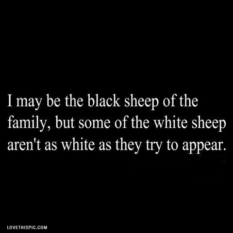 the black sheep the black sheep