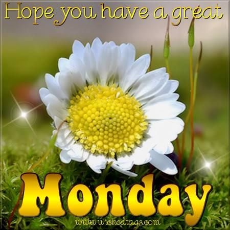 Have a great Monday Have a great Monday