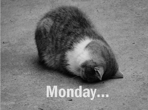 Monday Monday