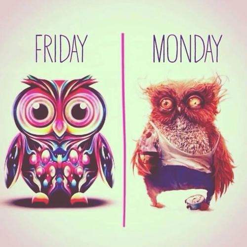 Friday and then monday Friday and then monday