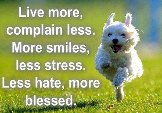How to live a positive life How to live a positive life