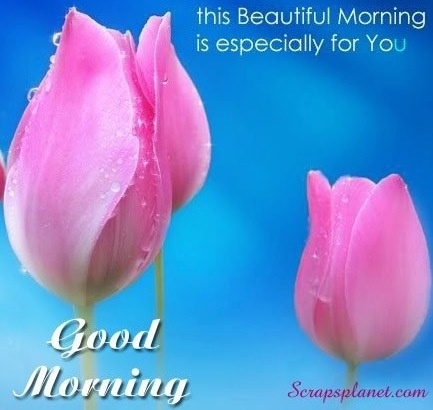 Good Morning