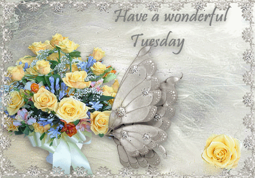 Have a wonderful Tuesday