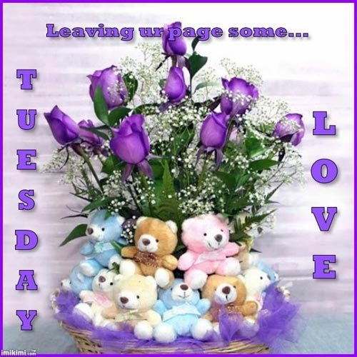 Tuesday Love Tuesday Love