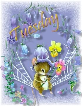Tuesday Tuesday