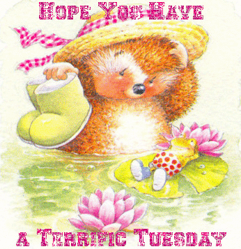 Hope you have a terrific Tuesday