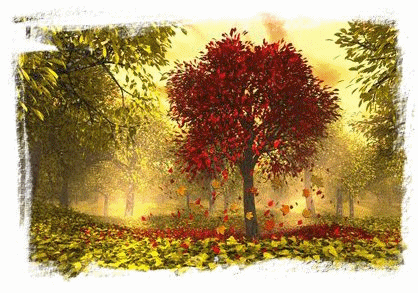 Autumn Leaves Falling Autumn Leaves Falling