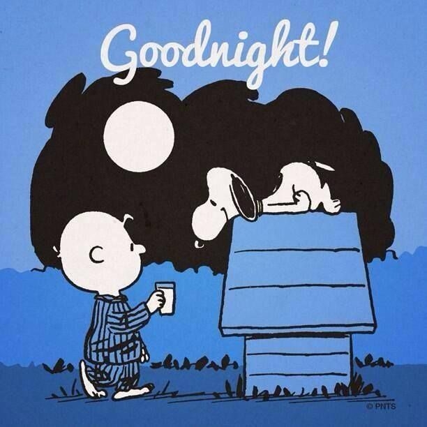 Goodnight Goodnight