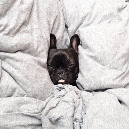5 More Minutes