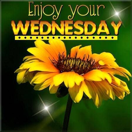 Enjoy your Wednesday