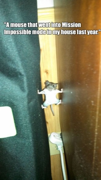 Mission Impossible Mouse Mission Impossible Mouse