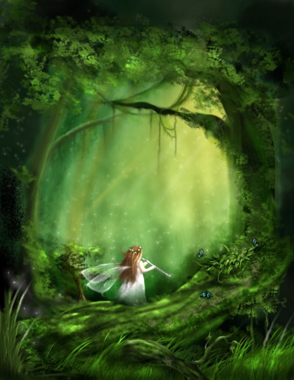 Little Fairy of the Forest