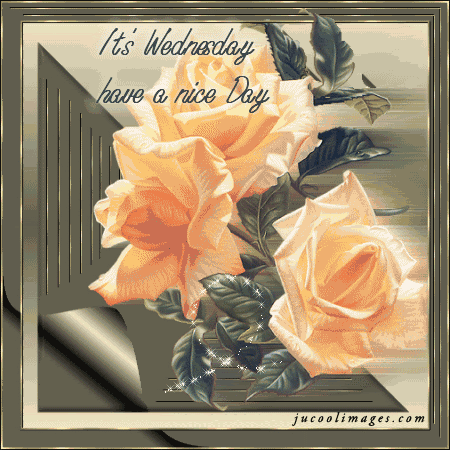 It's Wednesday Have a Nice Day