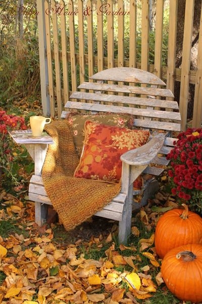 Coffee & Pumpkins Coffee & Pumpkins