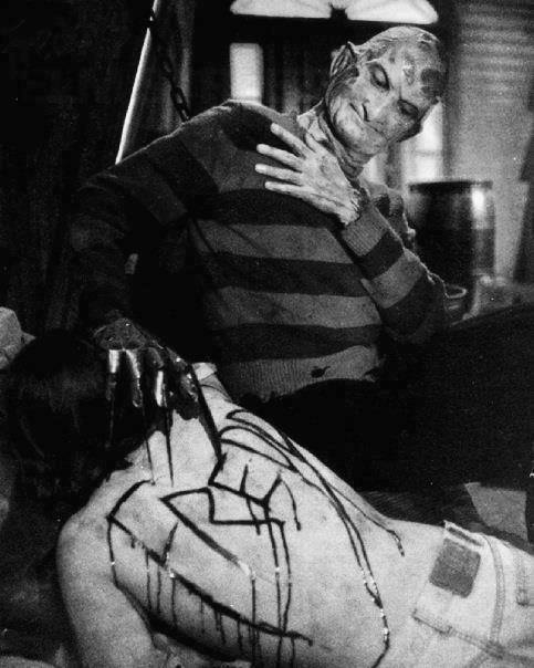 Freddy Freddy