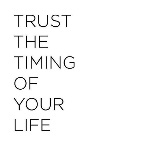 Trust the timing of your life