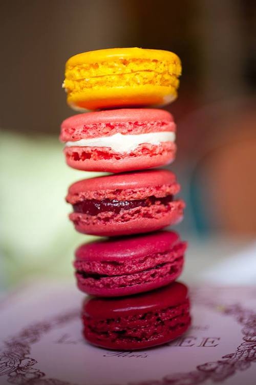 Sweet Macaroons Sweet Macaroons