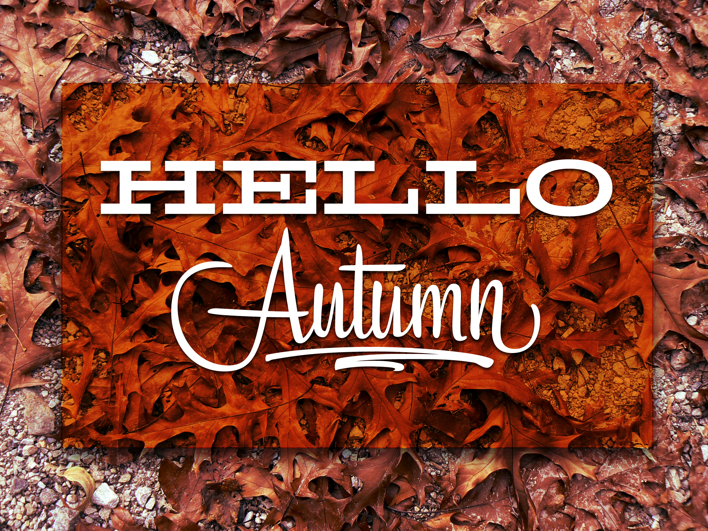 Hello autumn