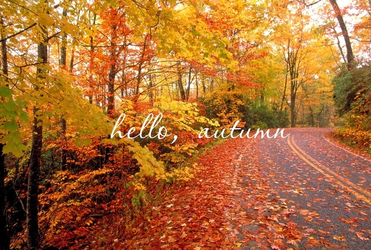 Hello autumn