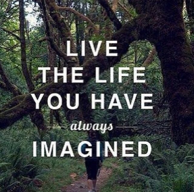 Live the Life You Imagined Live the Life You Imagined
