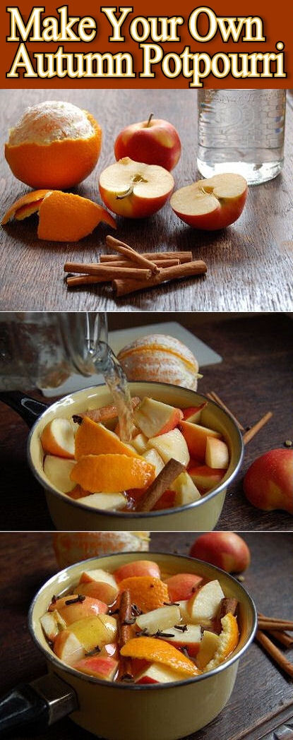 Make Your Own Autumn Potpourri