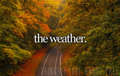 The weather