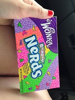 Wonka Nerds