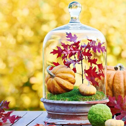 Fall in a jar Fall in a jar