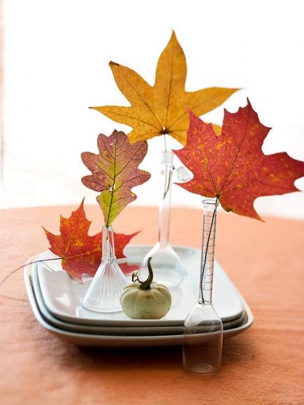 Leaves display Leaves display