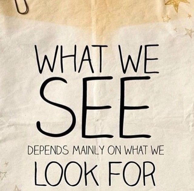 What We See What We See