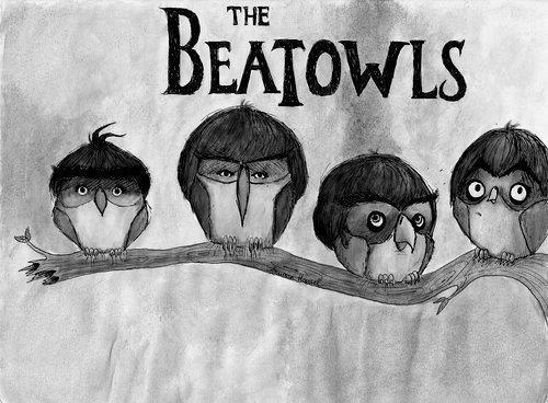 The Beatowls The Beatowls