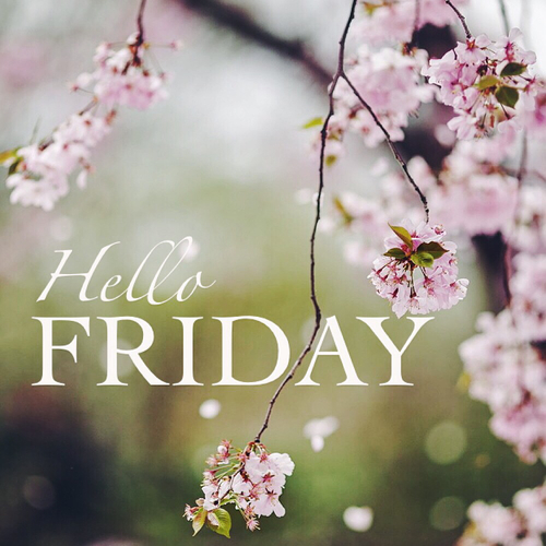 Hello Friday Hello Friday