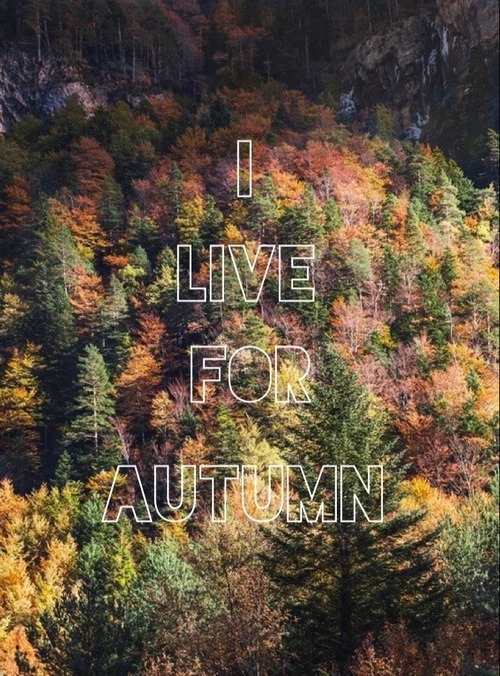 I live for autumn
