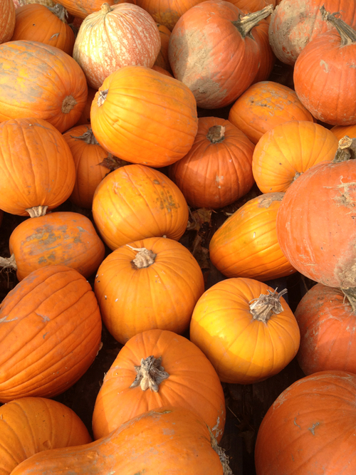 Pumpkins Pumpkins