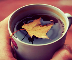 Leaf tea Leaf tea