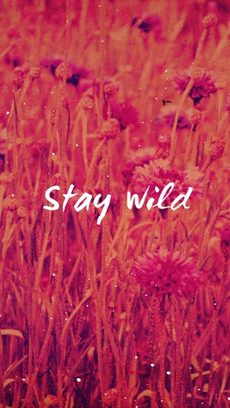 Stay wild Stay wild