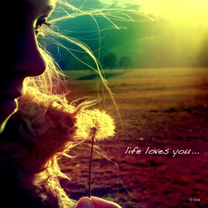 Life loves you