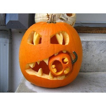 Pumpkin eating a pumpkin Pumpkin eating a pumpkin
